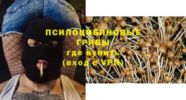 стафф Туринск
