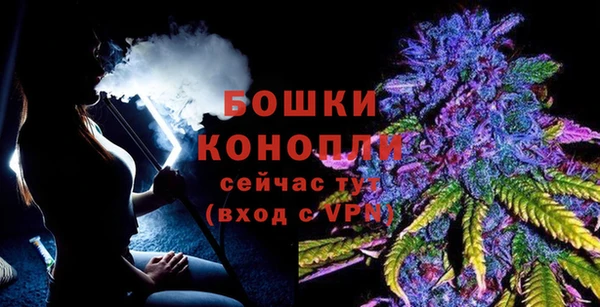 индика Тында